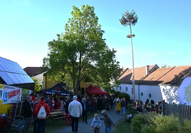 der Lanzendorfer Maibaum am Feuerwehrberg