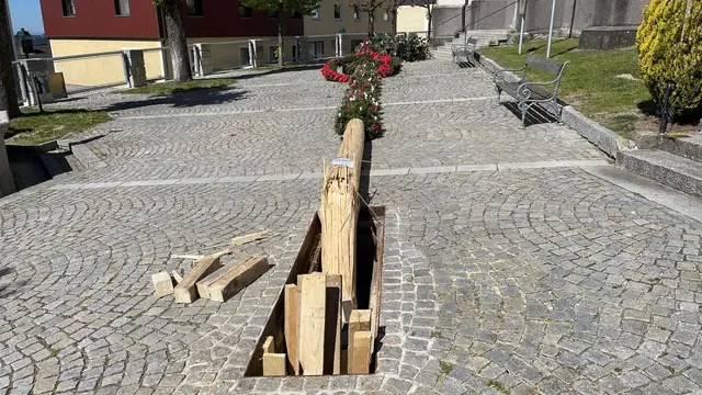 Landjugend-Maibaum in Bad Kreuzen "gefällt".  | Foto: Strudengau TV Franz Leitner