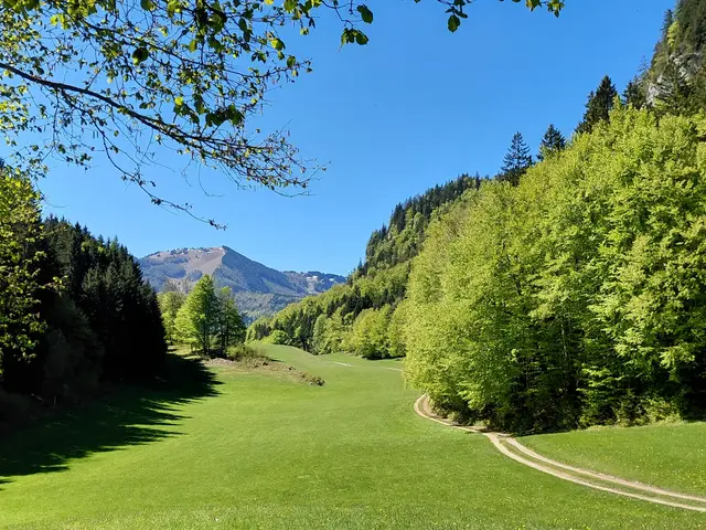 Blick auf das Zwölferhorn  | Foto: H.Bachinger