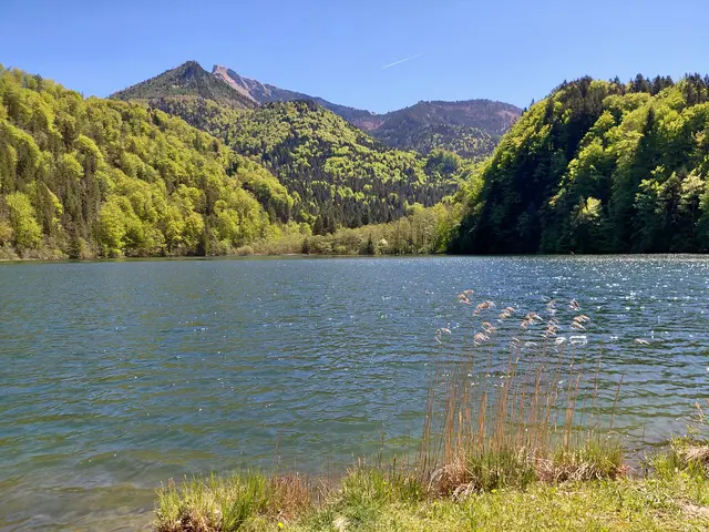 Krottensee  | Foto: H.Bachinger