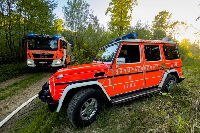 Foto: FOTOKERSCHI / WERNER KERSCHBAUMMAYR