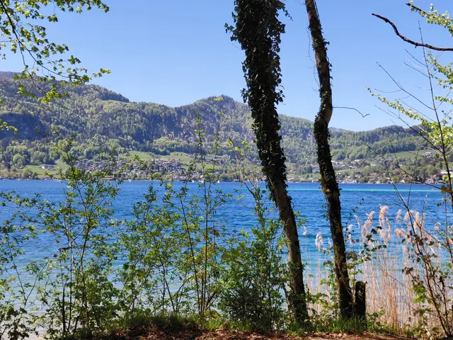 Wolfgangsee  | Foto: H.Bachinger