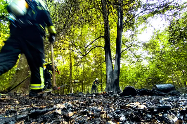 Foto: FOTOKERSCHI / WERNER KERSCHBAUMMAYR