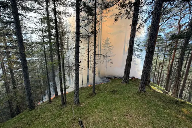 Halber Hektar Wald in Flammen