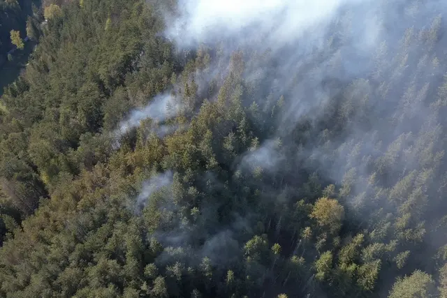 Foto: Bezirksfeuerwehrkommando NÖ
