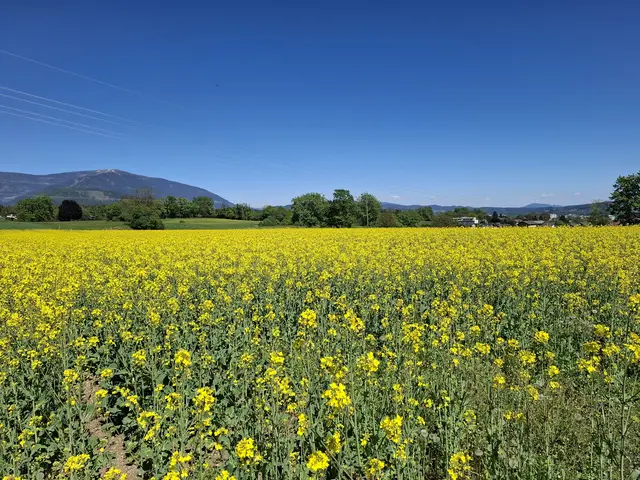 Sonnige Grüße zum 1. Mai