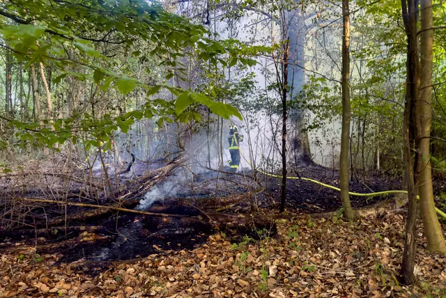 Foto: FOTOKERSCHI / WERNER KERSCHBAUMMAYR