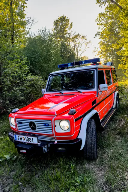 Foto: FOTOKERSCHI / WERNER KERSCHBAUMMAYR