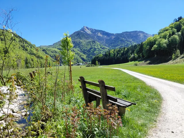 Blick auf den Schafberg  | Foto: H.Bachinger