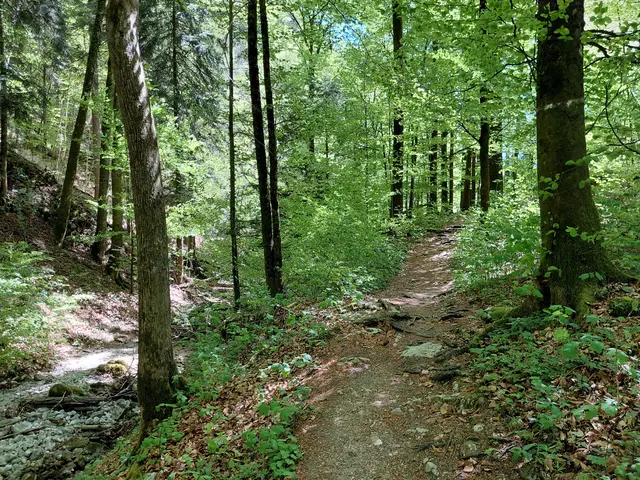 Weg Richtung Fürberg  | Foto: H.Bachinger
