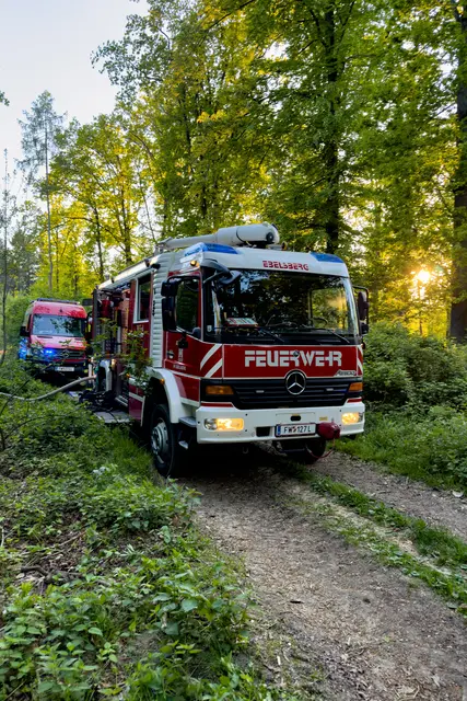 Foto: FOTOKERSCHI / WERNER KERSCHBAUMMAYR
