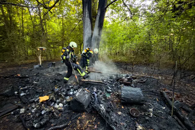 Foto: FOTOKERSCHI / WERNER KERSCHBAUMMAYR