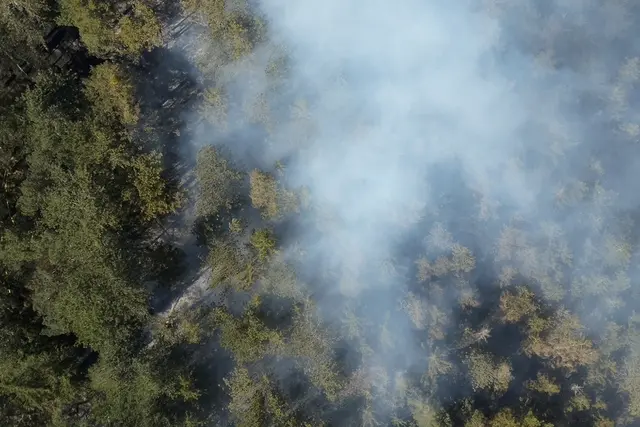Foto: Bezirksfeuerwehrkommando NÖ