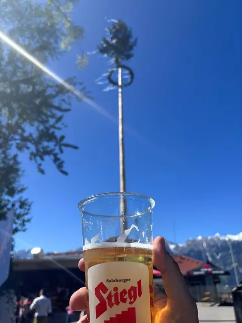 Mit einer beeindruckenden Höhe von 26 Metern und einem Stammdurchmesser von 43 Zentimetern zieht der festlich geschmückte Baum alle Blicke auf sich. 