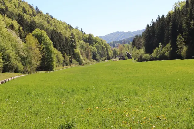 Der Weg hinter dem früheren Gemeindeamt von Eisbach-Rein führt zu dieser dem Stift Rein gehörenden Wiese. Hier entsteht der Weidendom und die Öko-Hecke, gegenüber gibt es einen Rastplatz. | Foto: Edith Ertl