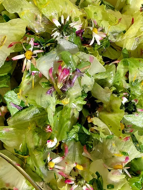 Ein bunter Salat 
