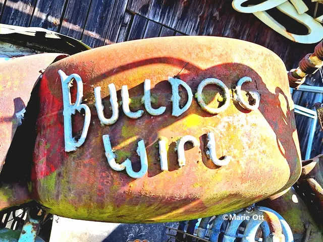 Flohmarkt BULLDOGWirt - 1. bis 3. Mai 2026 in Hof bei Straden - Südoststeiermark