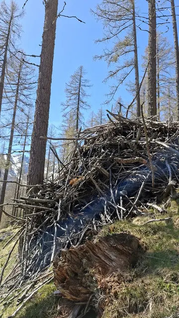 Bei der Aktion entstanden beeindruckende Berge an Ästen.  | Foto: FWZ Wipptal