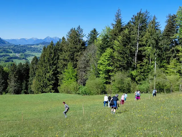 Foto: H.Bachinger