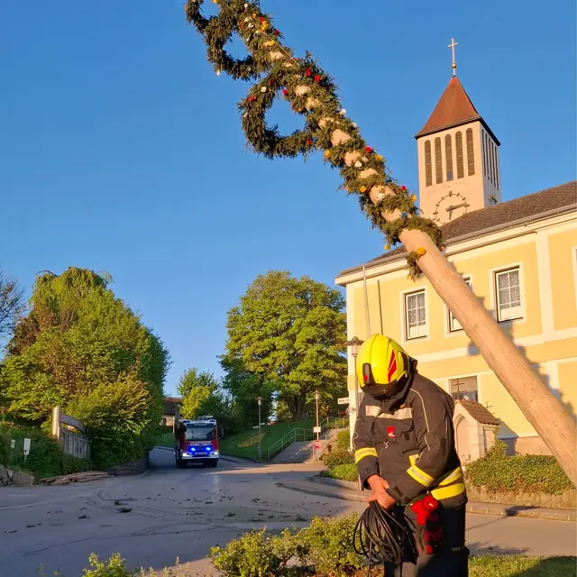 Baum bleibt gefährlich über der Straße hängen