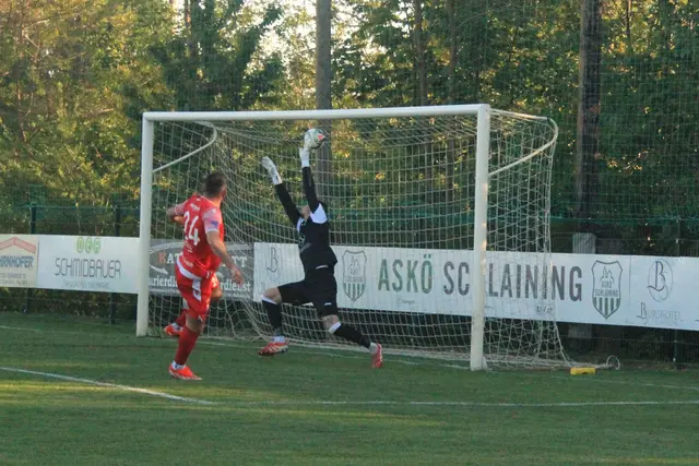 4:0 durch Tadic  | Foto: Peter Seper