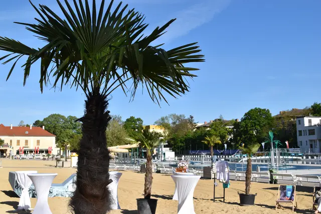 Thermalstrandbad Baden. | Foto: Mirjam Preineder