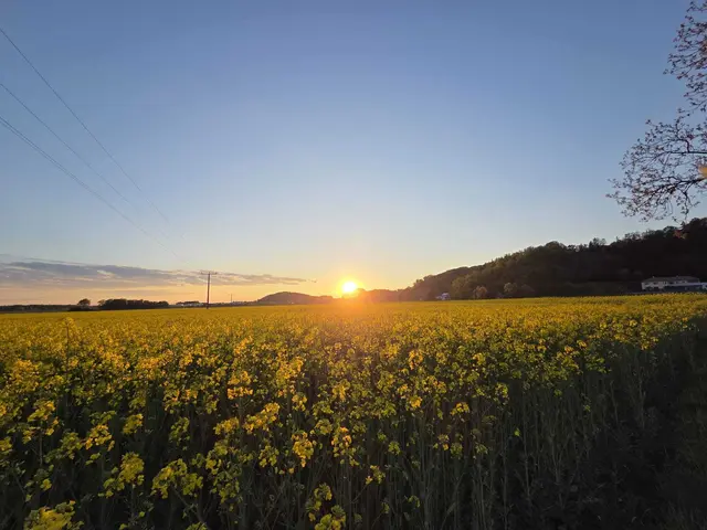 April 2026: Extrem trocken und sonnig