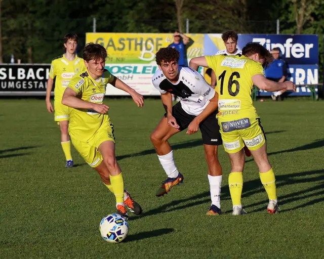 Foto: Helmut Klein