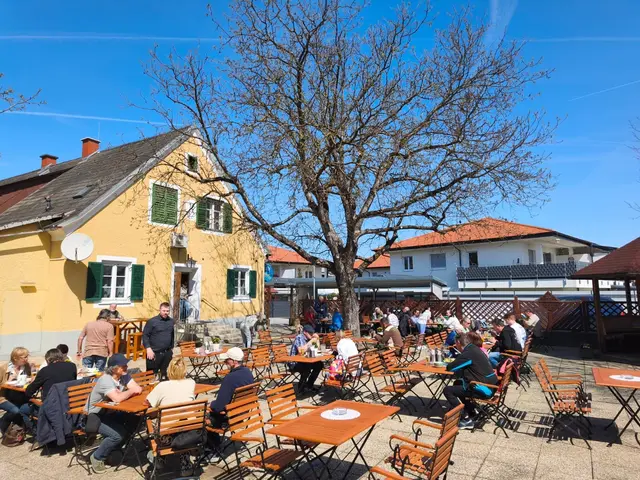 Mittagsmenüs bei Sonnenschein im Gastgarten beim Niechtenwirt genießen – da geht es uns gut!