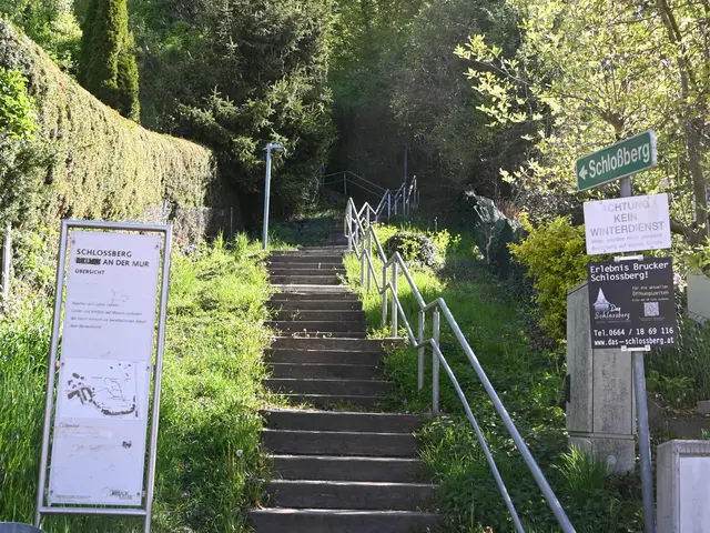 Eine Stadtbesichtigung, (2) Schlossberg