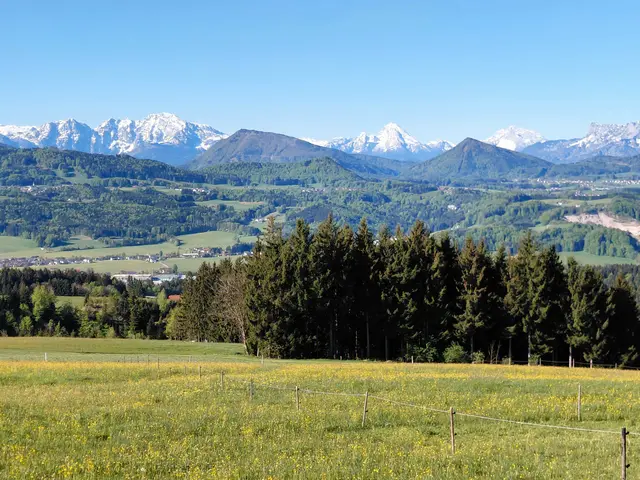Aussicht vom Thalgauberg | Foto: H.Bachinger