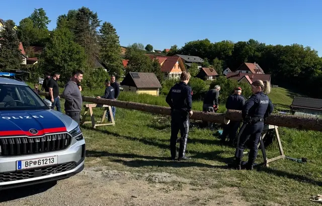 Noch bevor der Maibaum in Kitzeck geschnitzt wurde, kürzte ein "Duo" aus Heimschuh den Baum. | Foto: Dorfgemeinschaft