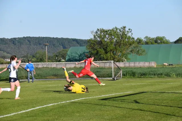 Foto: MeinBezirk/Michael Strini