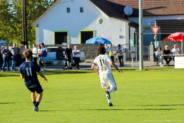 Foto: Carla Schoditsch