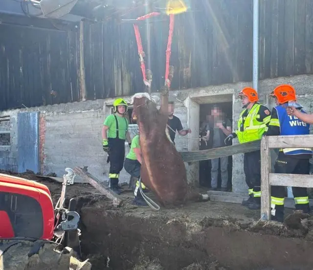 Spektakuläre Tierrettung im Bezirk Waidhofen/Ybbs