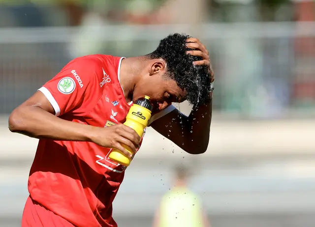 Adrei Rostas wurde nach der Halbzeitpause eingewechselt. | Foto: GEPA pictures/Hans Oberländer