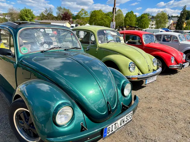 Foto: Markus Kahrer