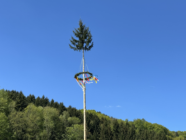 Der festlich geschmückte Maibaum war ein echter Blickfang beim Fest. | Foto: Jana Zuser