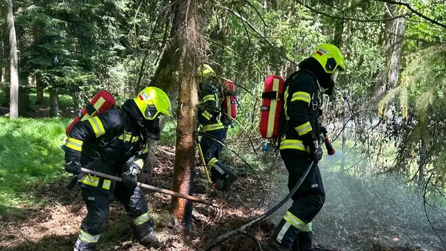 Große Gefahr am Waldrand gebannt – Anrainer und Feuerwehr handelten schnell