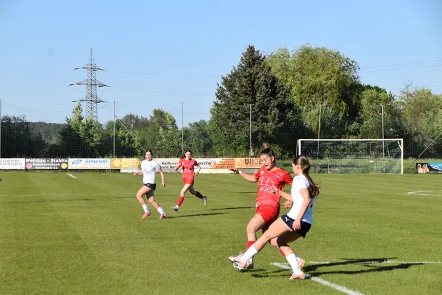 Foto: MeinBezirk/Michael Strini