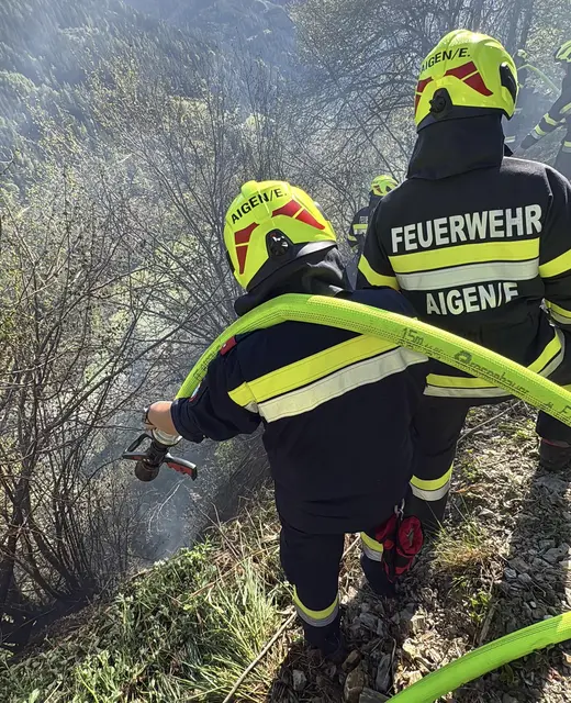 Feuerwehren verhinderten Ausbreitung auf Waldgebiet