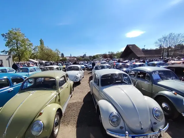 500 Fahrzeuge aus Österreich und darüber hinaus parkten sich in Eggenburg ein. | Foto: Markus Kahrer