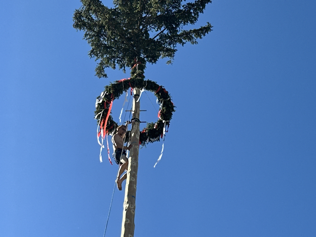 In nur 46 Sekunden schaffte es Manuel Scharner an die Spitze des Maibaums.  | Foto: Jana Zuser