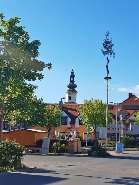 Die ÖVP stellte am Marktplatz in Feldkirchen einen Maibaum auf. | Foto: privat