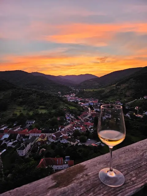 [Anzeige] Weingenuss auf der Burgruine Senftenberg