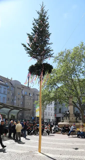 Der Maibaum steht wieder am Elterleinplatz.  | Foto: BV17