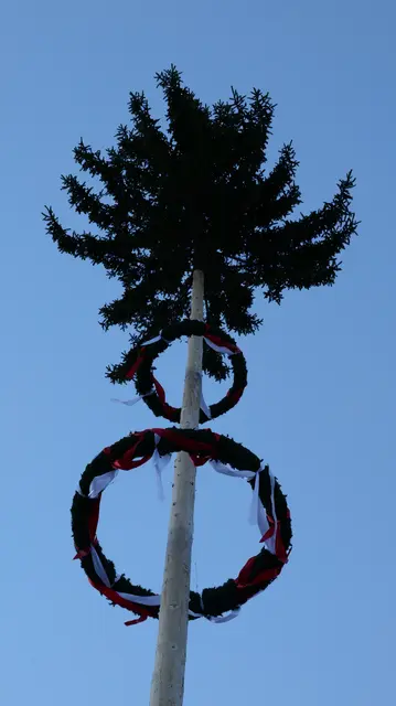 Foto: Jungbauern Pfons