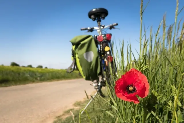 44-Jähriger stürzt mit E-Bike und erlitt schwere Verletzungen