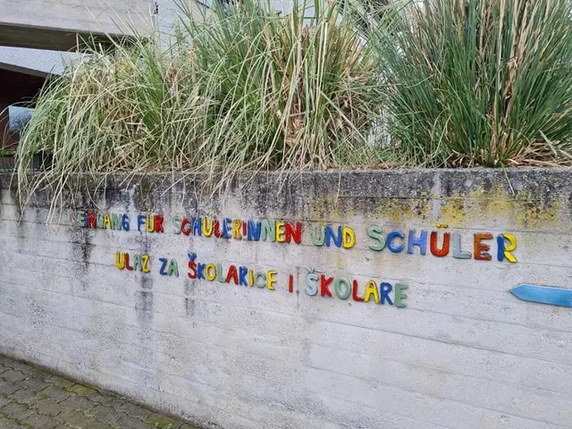 Eingang zur Neuen Mittelschule. Obwohl die Problematik bekannt ist, wurde die Anbindung an spezialisierte Schulangebote bisher kaum thematisiert. | Foto: Otto Krcal