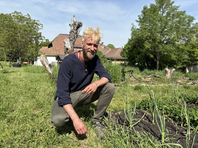 Am Rosenhügel wächst Obst und Gemüse für Menschen in Not